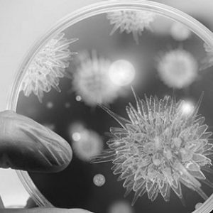 ReNNOvaTest Microbiota: Test de Microbiota y Metagenómica