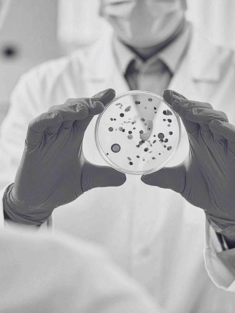 Medicina regenerativa